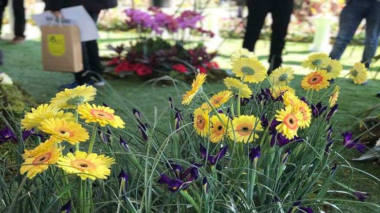 FOTO - Erbil'de çiçek fuarı